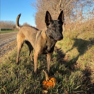 Meet your Posher, Mckinley